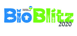 BioBlitz 2020 Logo