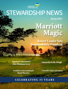 Stewardship News Cover
