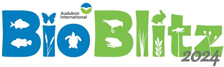 bioblitz 2024 logo